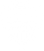 Adrenaline Power Boats